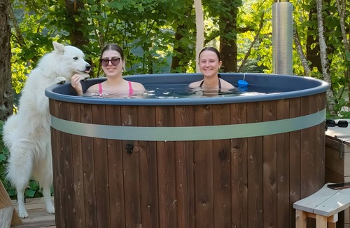 Sainte-Marie-aux-Mines Ski Chalet | Chalet 'La Cigale Et Son Bain Nordique' with Wi-Fi
