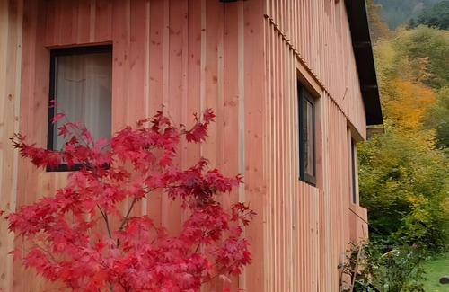 Sainte-Marie-aux-Mines Ski Chalet | Chalet 'La Fourmi Et Son Bain Nordique' with Wi-Fi