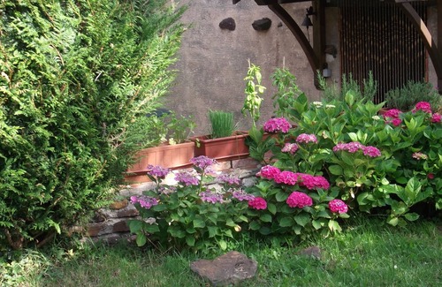 Treigny House | Chez Sidonie, in the land of Colette.