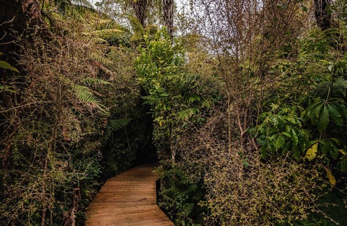 Franz Josef Glacier House | Franz Josef Treetops