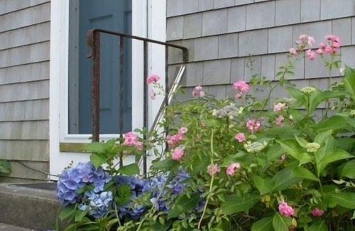 Nantucket Town House | FREE 3rd Night!* (See description) Nantucket in Town 3 Bedroom 1 Bath Cute House