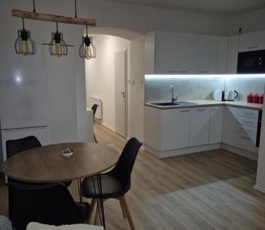 Pilsen Apartment | Friendly Apartment