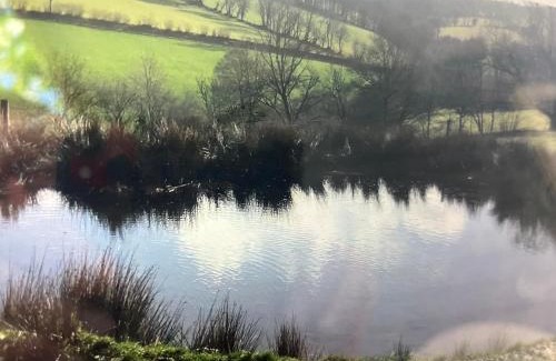 Llanilar Ski Chalet | Fronfetyn