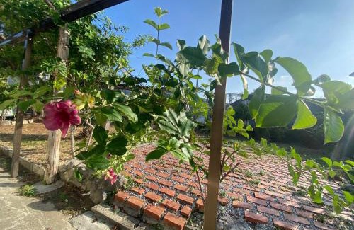 Nakama Villa | FTH sky 広い庭付きコンドミニアム ビーチ徒歩5分