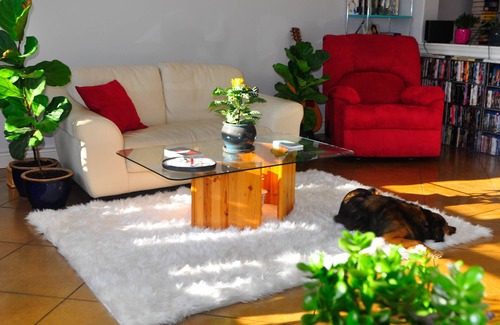 South Lamar House | Full of Color and Light, 5 min from best music, food, and honkey-tonks in Austin