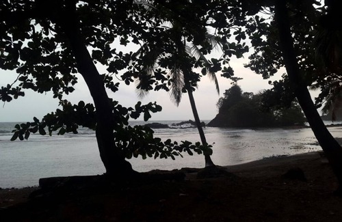 Eastern Panama House | FULL PRIVACY HOUSE SURROUNDED BY TREES, FEW STEPS AWAY FROM THE CARIBBEAN SEA