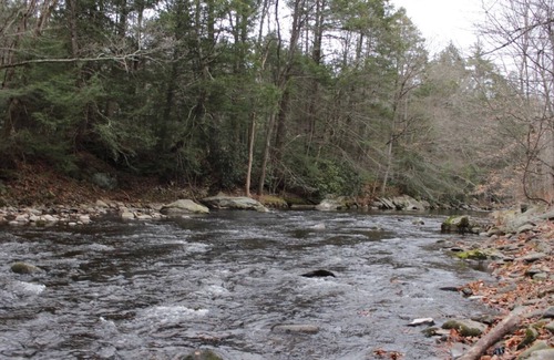 Canadensis House | Full Private House On A Creek With Sauna & Hot Tub