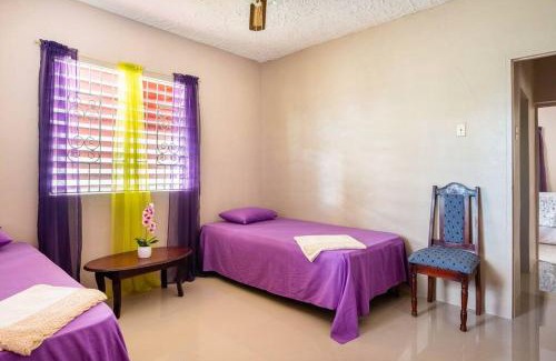 Salt Gut House | Fully AC 2BR, 5 mins from Ian Fleming Int Airport