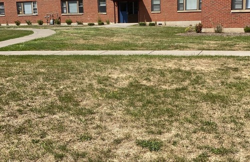 Rochester Apartment | Fully Furnished 2 beds 1 bad Apt Near to Hospital