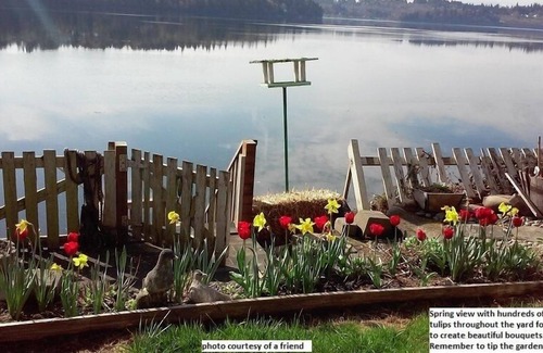 Shelton House | Fun adventures for you at The Lodge on Oakland Bay!