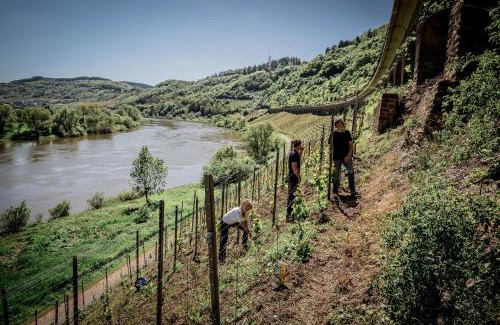Punderich Apartment | Gästehaus Simonis