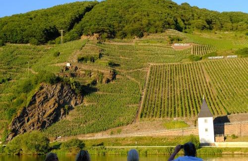 Trittenheim House | Gästehaus & Weingut Clüsserath-Weiler