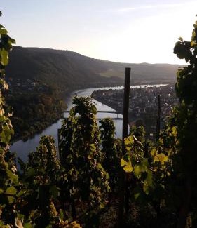 Schleich House | Gästehaus-Weingut Michael Scholer