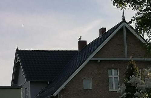 Ueckermuende Apartment | Gästewohnung Schwanenteich