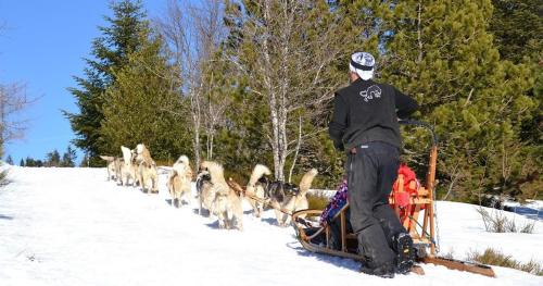 Chalmazel-Jeansagniere House | Gîte à CHALMAZEL équipé, dans hameau calme