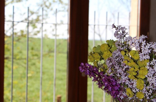 Castelmary Cottage | Gîte au Calme Dans la Campagne Aveyronnaise