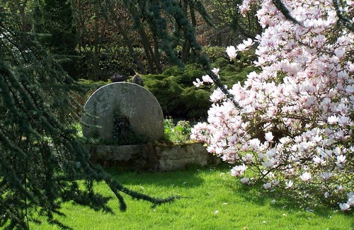 Calleville Cottage | Gîte du Goubelin: magic, swimming pool and jacuzzi