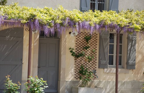 Alzonne House | Gîte Glycine for 8 people