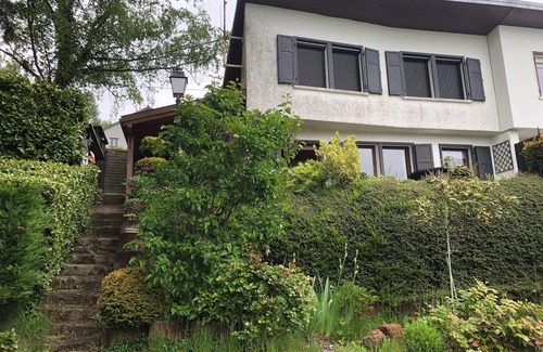 Dabo House | Gîte LE Petit Renard