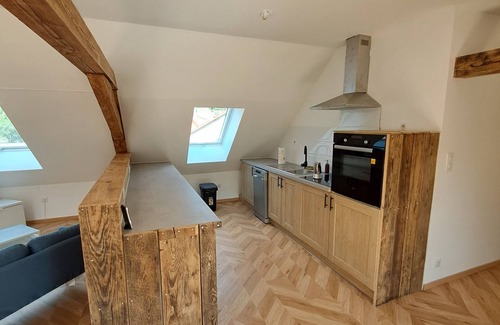 Breitenbach-Haut-Rhin Apartment | Gîte "les Combles"