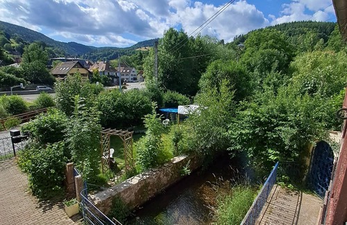 Breitenbach-Haut-Rhin Apartment | Gîte "les Combles"