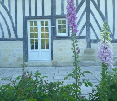 Cheffreville-Tonnencourt House | Gîte 'les matins calmes '
