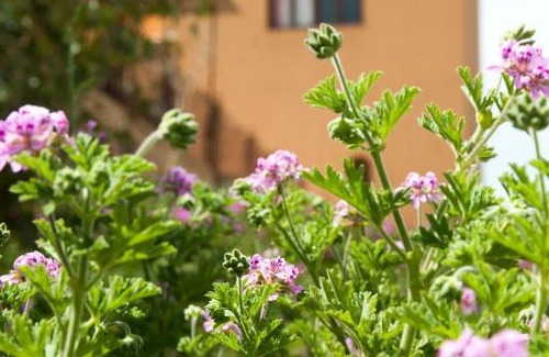 Tafoughalt Bed & Breakfast | Gîte Raid Oriental