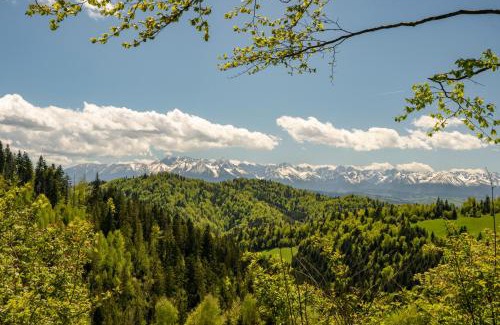 Ochotnica Dolna Apartment | Górna Chata Mountains Chalet