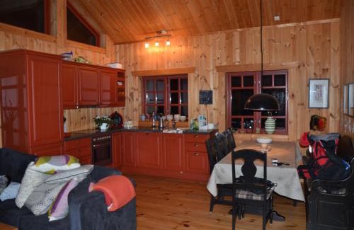 Vinje Apartment | Gamlestøyl 30D, Haukeli Vågslid