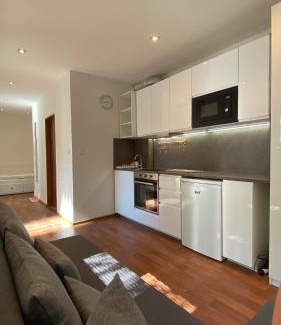 Kralupy nad Vltavou Apartment | Garden house on the Vltava riverbank 15 min to Prague