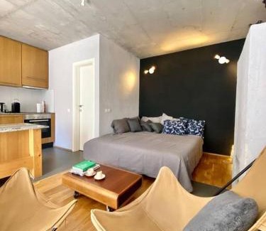 Matiçan Villa | Garden House Prishtina with 2 Studios