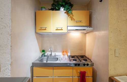 Coyoacan Apartment | GARDEN HOUSE, WELCOME TO SAN ANGEL NEIGHBOURHOOD