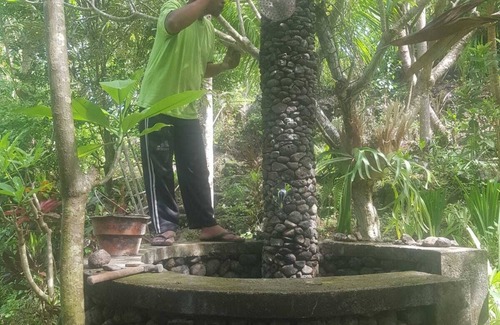 Banjartegehe Villa | Garden paradise banjar/lovina