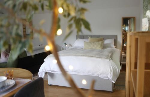 Biggar Apartment | Garden Studio in Biggar