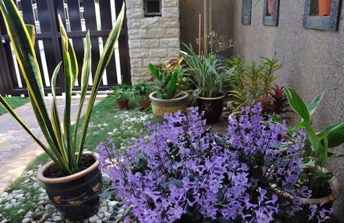 Bentong House | Garden Vacation Suite