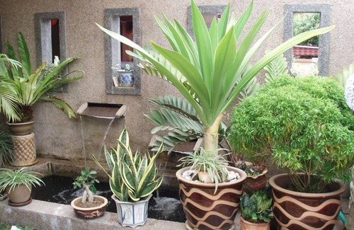 Bentong House | Garden Vacation Suite