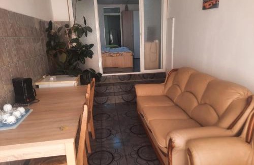 Alba Iulia Apartment | Garsoniera Del Dodo