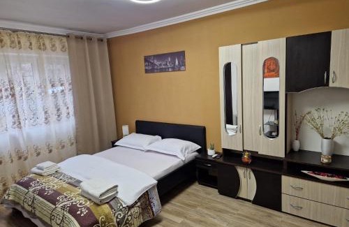 Baile Herculane Apartment | Garsoniera