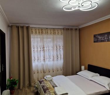 Baile Herculane Apartment | Garsoniera