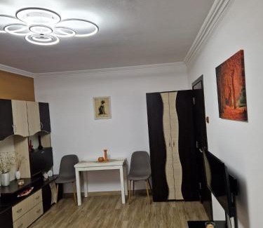 Baile Herculane Apartment | Garsoniera