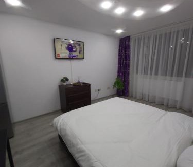 Galati Apartment | Garsoniera tiglina1
