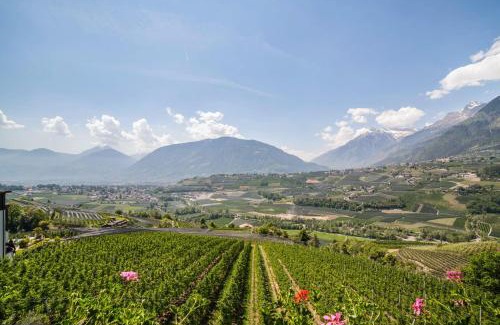 Schenna Apartment | Gartenheim App Elisabeth