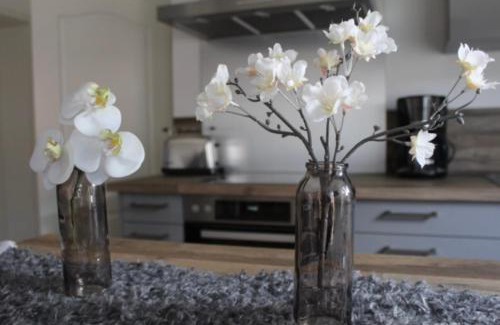 Satow Apartment | Gartenidyll