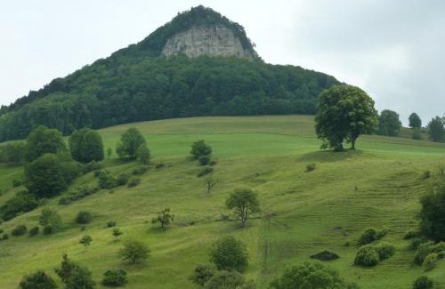Wisen Hotel | Gasthof Löwen