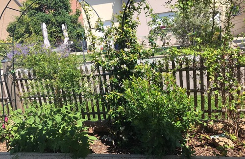 Ostheim House | Gated house in quiet village near Colmar and wine route