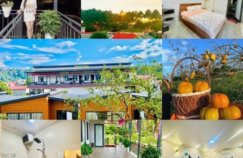 Moc Chau Bed & Breakfast | Gaubong House