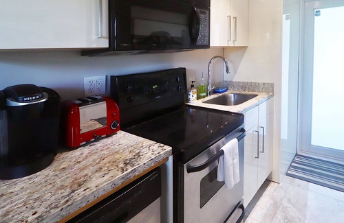South Middle River House | Gay Men’s Private Pool Home, Pool View Apt. Walk To Wilton Manors.