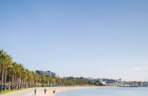 Geelong Apartment | Geelong CBD Apartment Short & Long Term stays