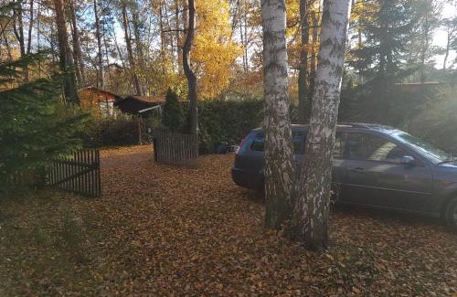 Schonebeck House | Gemutlicher Ferienbungalow am Felsensee bei Pretzien