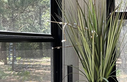 Circle D-KC Estates House | Gennesis RV is located in Lost Pines Near Bastrop Lake